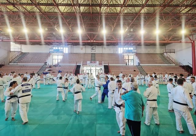 Stage di judo sul tatami con tanti atleti